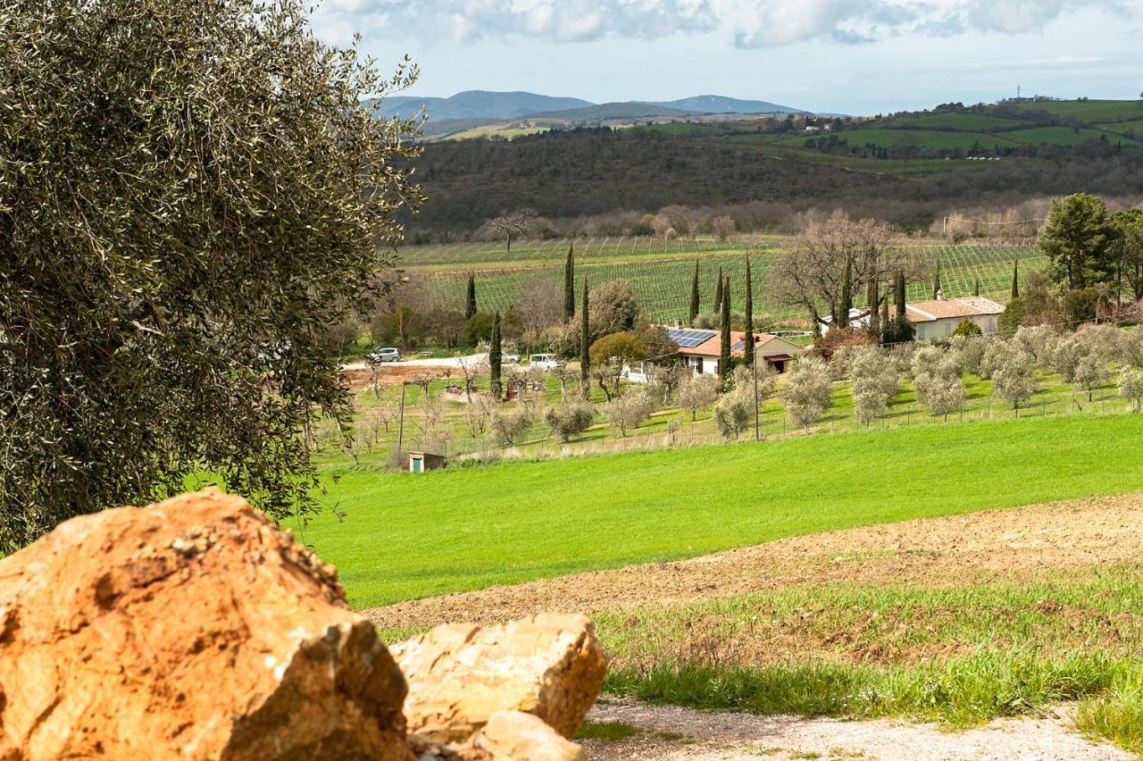 Artemisia Negli Ulivi B&B Magliano in Toscana Exterior photo