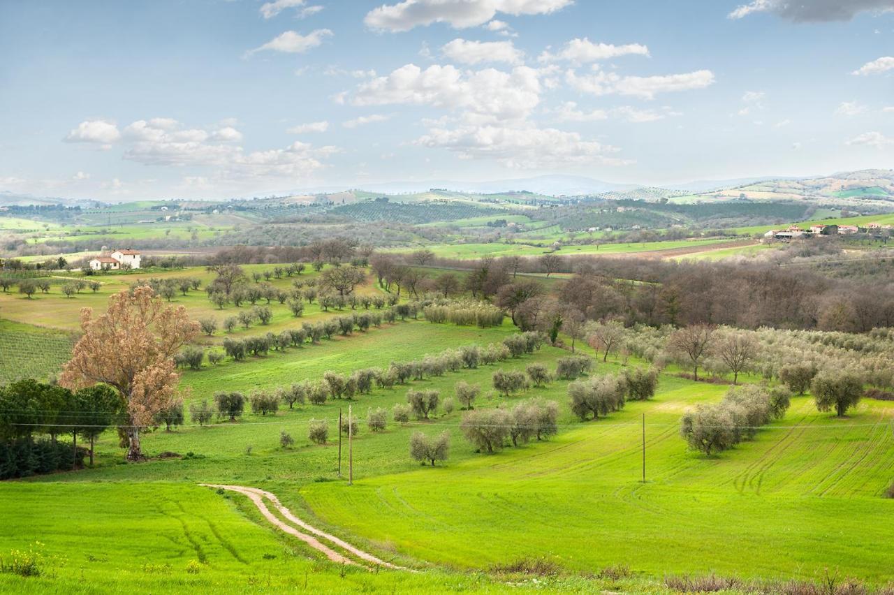 Artemisia Negli Ulivi B&B Magliano in Toscana Exterior photo