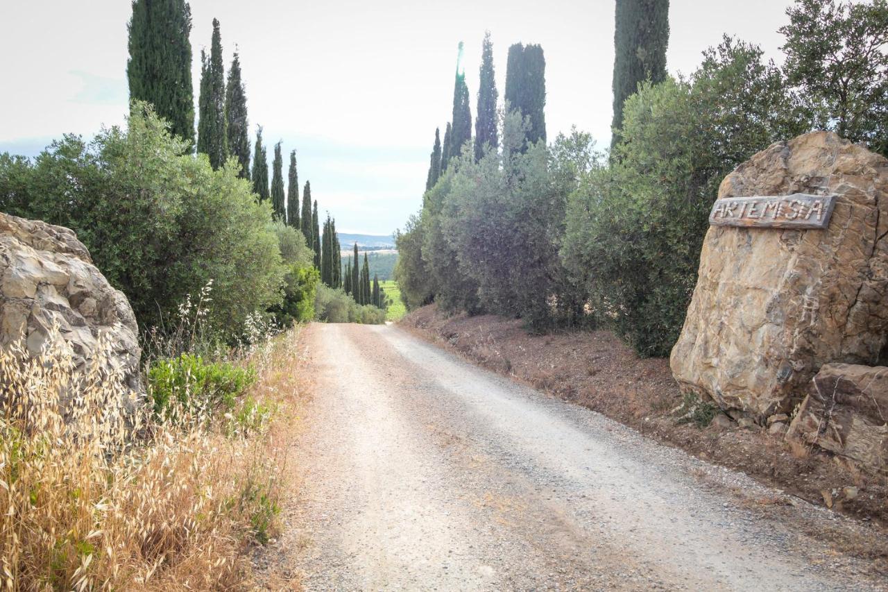 Artemisia Negli Ulivi B&B Magliano in Toscana Exterior photo